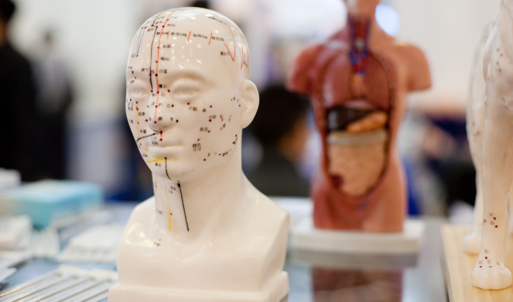 The Marvels of the Nervous System